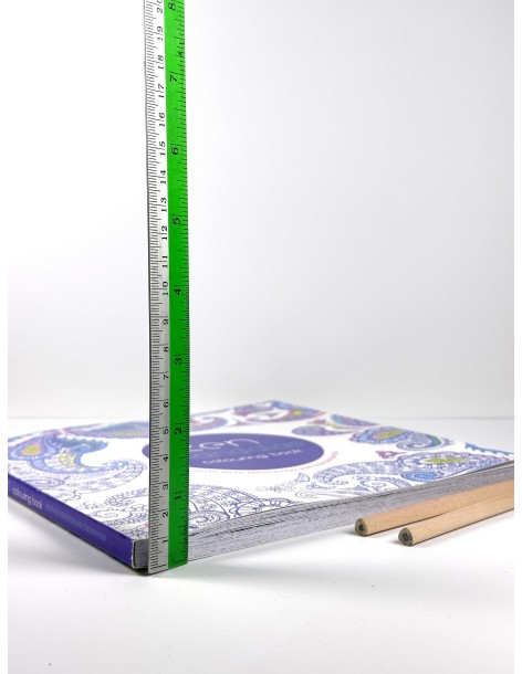 Zen Mandala Colouring Book 2