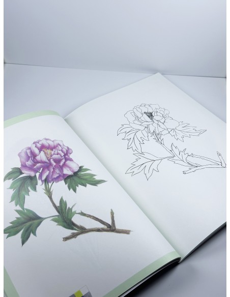 Botanical Flower Colouring Book