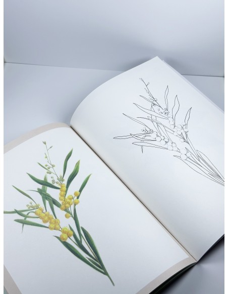 Botanical Flower Colouring Book