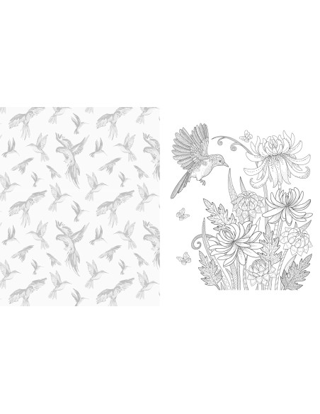 The Birds and Butterflies Colouring Book