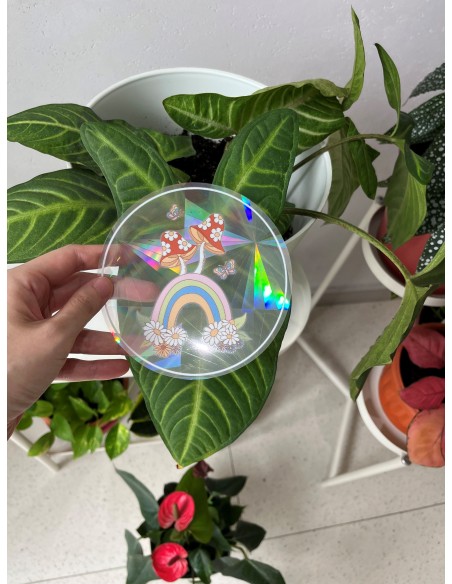Rainbow Prism Suncatcher Sticker - Rainbow Meadow