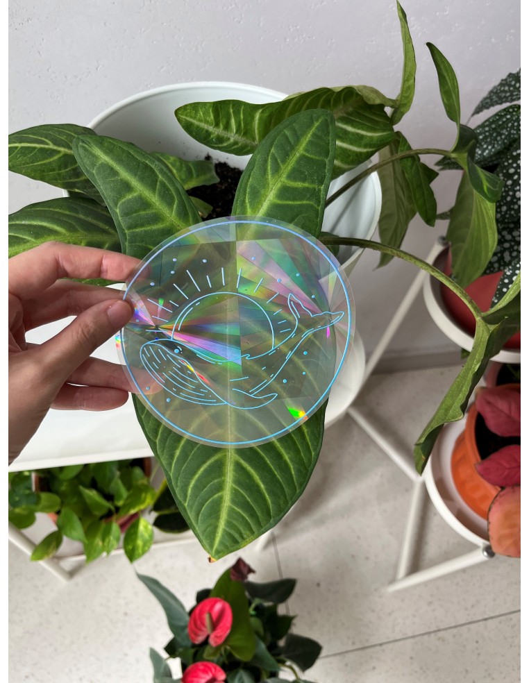 Rainbow Prism Suncatcher Sticker - Voyage at Dawn