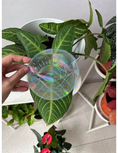Rainbow Prism Suncatcher Sticker - Voyage at Dawn