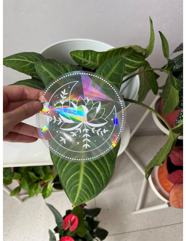 Rainbow Prism Suncatcher Sticker - Moonlit Lotus