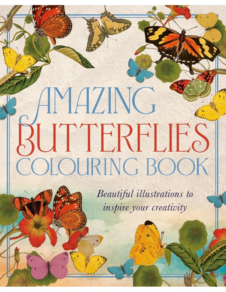 Amazing Butterflies Colouring Book