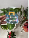 Rainbow Prism Suncatcher Sticker - Garden Play