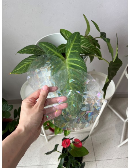 Soft Glow Suncatcher Sticker, Reusable - 16 piece Set: Circles